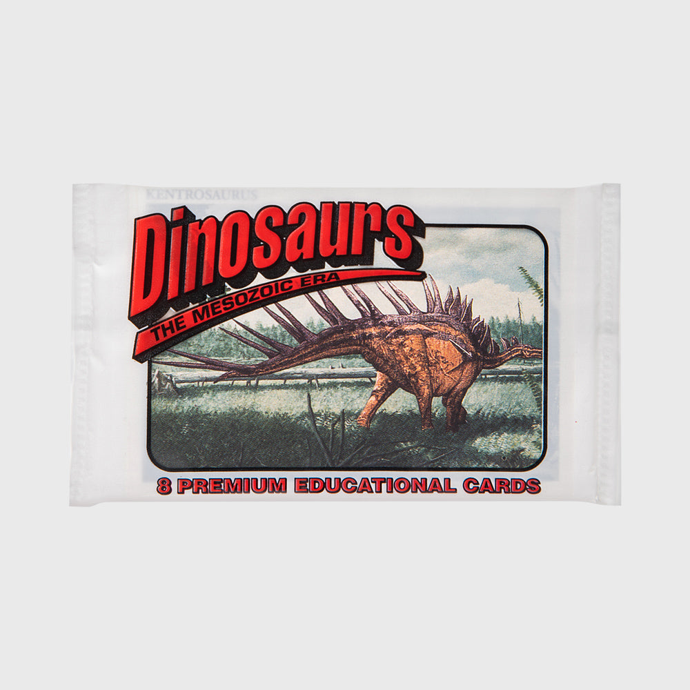 DINOSAURS MESOZOIC ERA TRADING CARDS