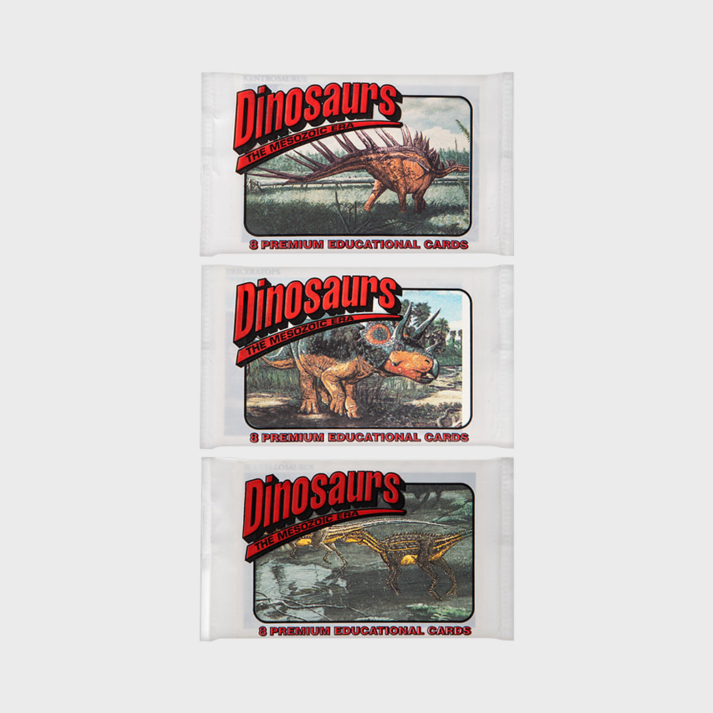 DINOSAURS MESOZOIC ERA TRADING CARDS